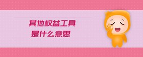 其他權(quán)益工具是什么意思