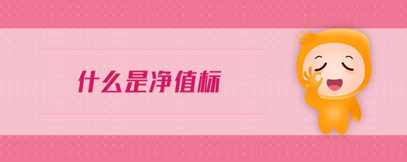 什么是凈值標(biāo)