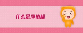 什么是凈值標(biāo)