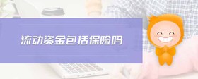 流動(dòng)資金包括保險(xiǎn)嗎