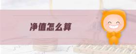 凈值怎么算