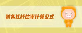 財(cái)務(wù)杠桿比率計(jì)算公式