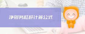 凈財(cái)務(wù)杠桿計(jì)算公式