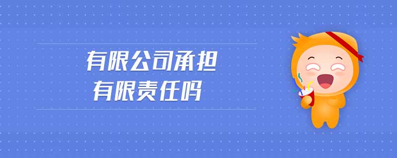 有限公司承擔(dān)有限責(zé)任嗎