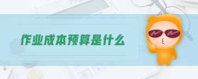 作業(yè)成本預算是什么