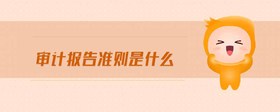 審計(jì)報(bào)告準(zhǔn)則是什么