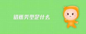錯(cuò)賬類型是什么