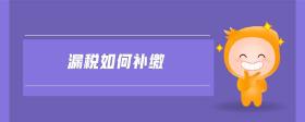 漏稅如何補(bǔ)繳