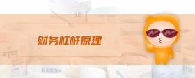 財(cái)務(wù)杠桿原理
