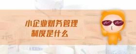小企業(yè)財(cái)務(wù)管理制度是什么