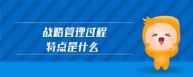 戰(zhàn)略管理過程特點是什么