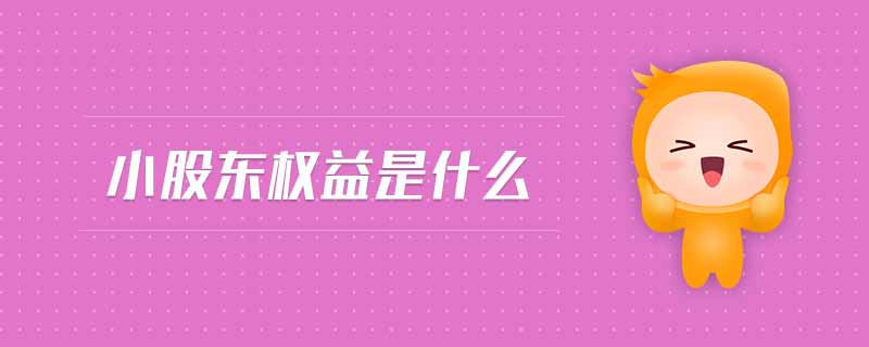 小股東權(quán)益是什么