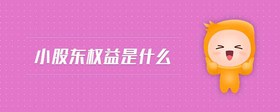 小股東權(quán)益是什么