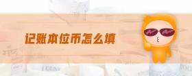 記賬本位幣怎么填