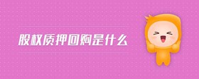 股權質押回購是什么