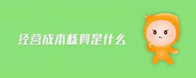 經(jīng)營成本核算是什么