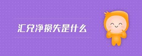 匯兌凈損失是什么