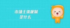 市場主體規(guī)制是什么