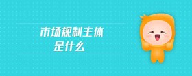 市場規(guī)制主體是什么