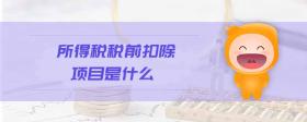 所得稅稅前扣除項目是什么