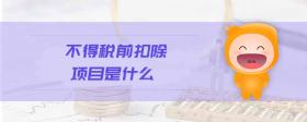 不得稅前扣除項目是什么