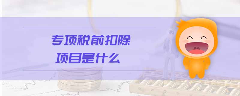 專項稅前扣除項目是什么
