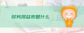 財(cái)務(wù)損益表是什么