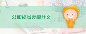 公司損益表是什么