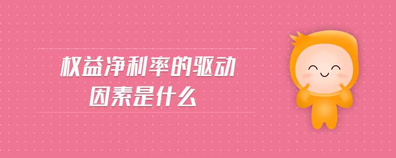 權(quán)益凈利率的驅(qū)動因素是什么