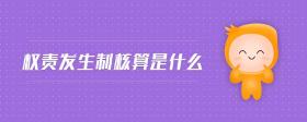 權(quán)責發(fā)生制核算是什么
