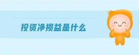 投資凈損益是什么
