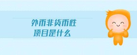外幣非貨幣性項(xiàng)目是什么