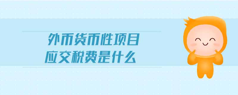 外幣貨幣性項(xiàng)目應(yīng)交稅費(fèi)是什么