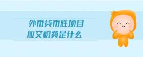 外幣貨幣性項(xiàng)目應(yīng)交稅費(fèi)是什么