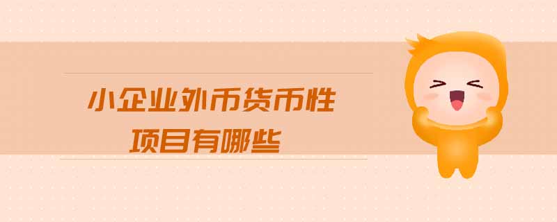 小企業(yè)外幣貨幣性項目有哪些