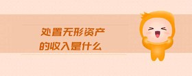 處置無形資產(chǎn)的收入是什么