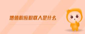 增值稅應(yīng)稅收入是什么
