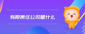 有限責(zé)任公司是什么