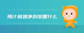 預(yù)計銷售凈利率是什么