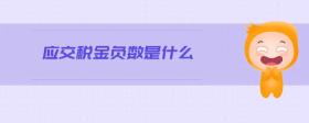 應(yīng)交稅金負(fù)數(shù)是什么
