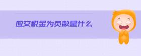 應(yīng)交稅金為負(fù)數(shù)是什么