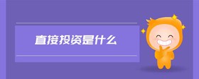 直接投資是什么