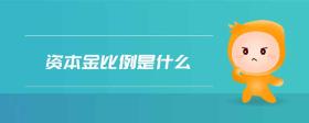 資本金比例是什么