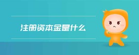 注冊資本金是什么