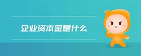企業(yè)資本金是什么