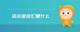 資本金結匯是什么