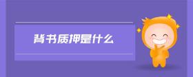背書(shū)質(zhì)押是什么