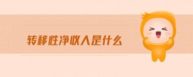 轉(zhuǎn)移性凈收入是什么
