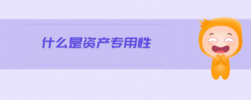 什么是資產(chǎn)專用性
