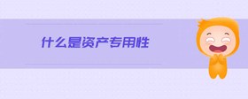 什么是資產(chǎn)專用性